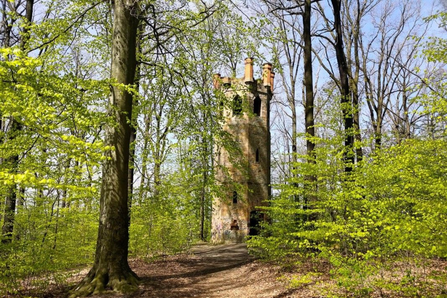 baszta las piastów wiosna