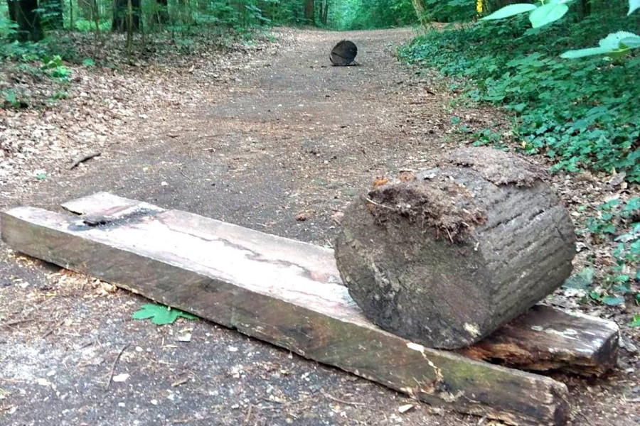 ławka wandalizm las