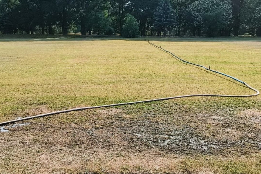 wąż podlewanie rajska