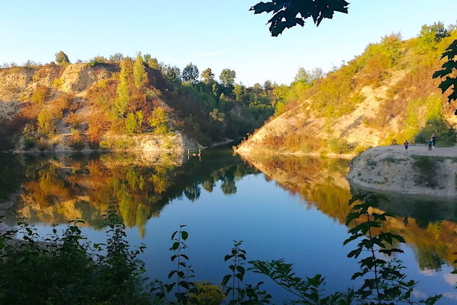 kamionka raciborowice