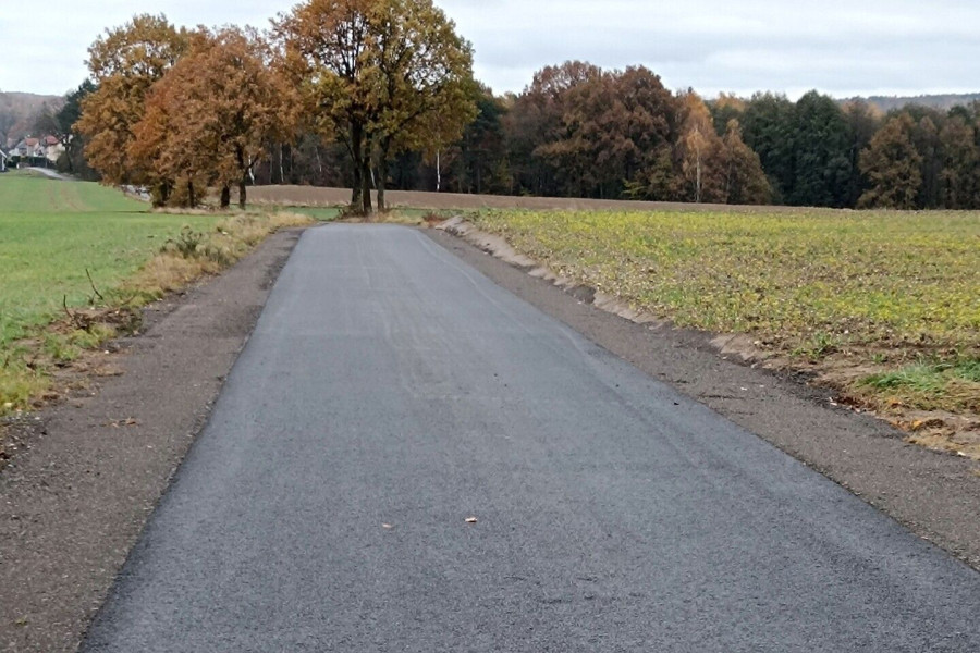 ul. leśna nowogrodziec