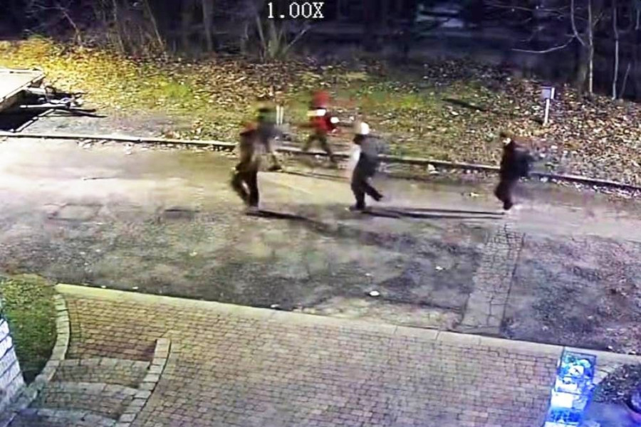 wandal lwówek śląski młodzież