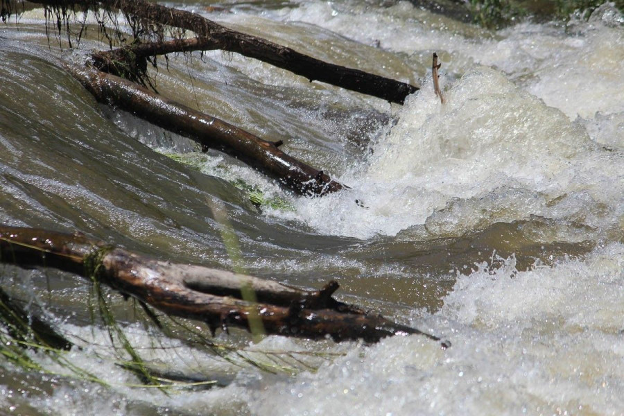 rzeka bóbr bolesławiec