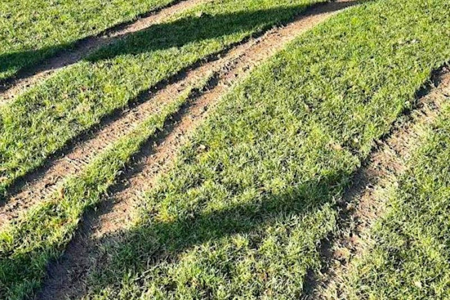 gks tomaszów zniszczone boisko