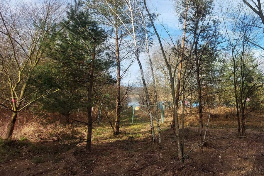 drzewo pirat kontener