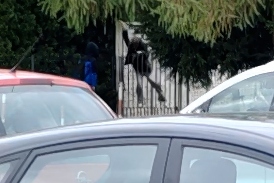 dziecko bramka szkoła