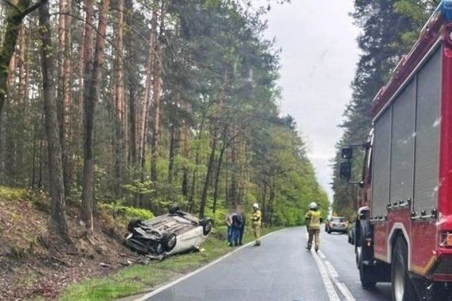 dachowanie dobra kliczków