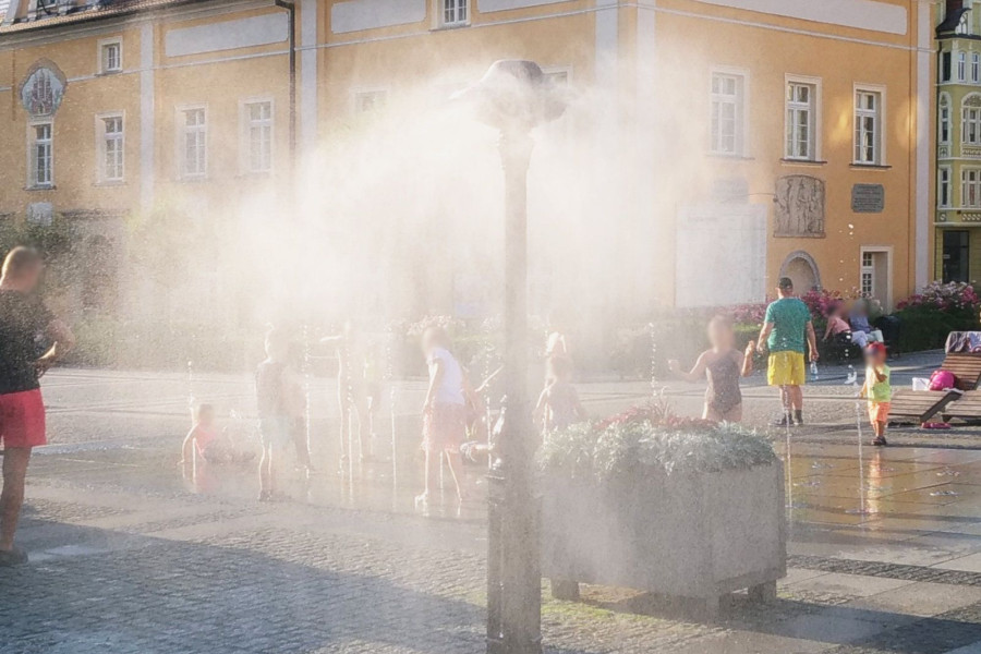 grzybek rynek chłodzenie