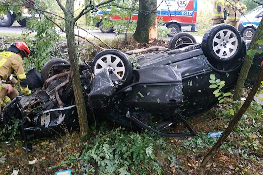 dachowanie audi złotoryja