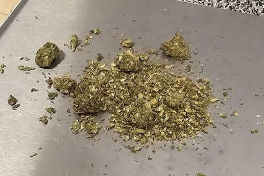 narkotyki zatrzymanie