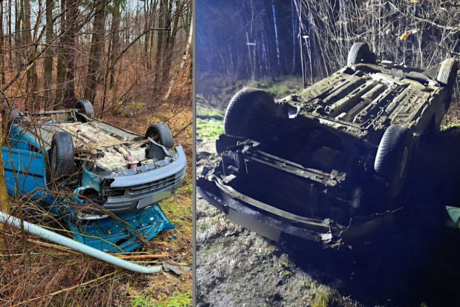 dachowanie auto lwówek śląski