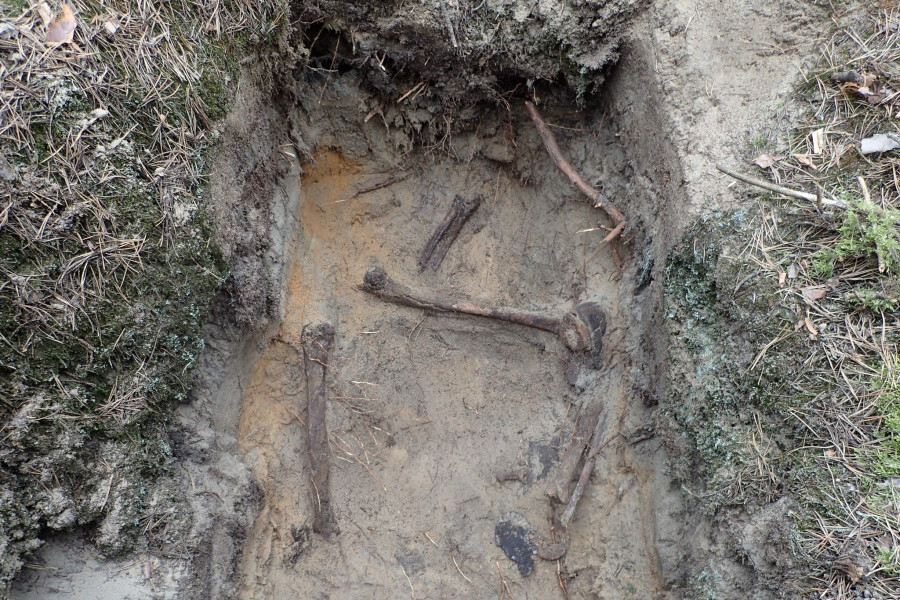 szczątki grób powiat wojna świętoszów