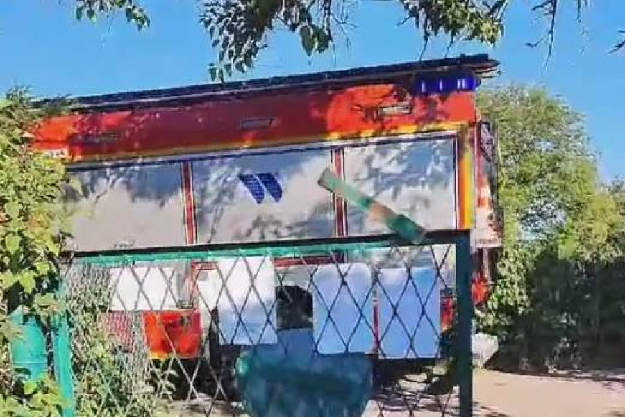 straż działki pies