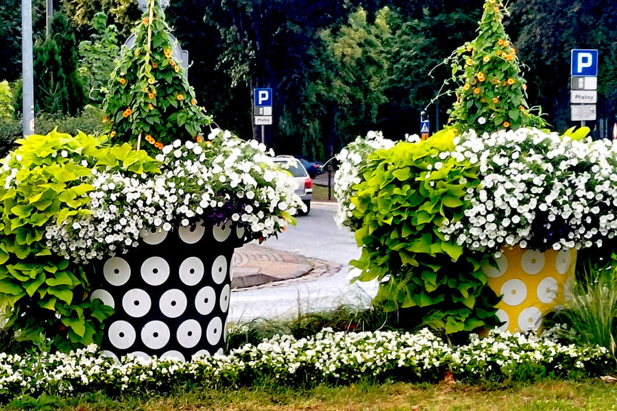 donice kwiaty skrzyżowanie