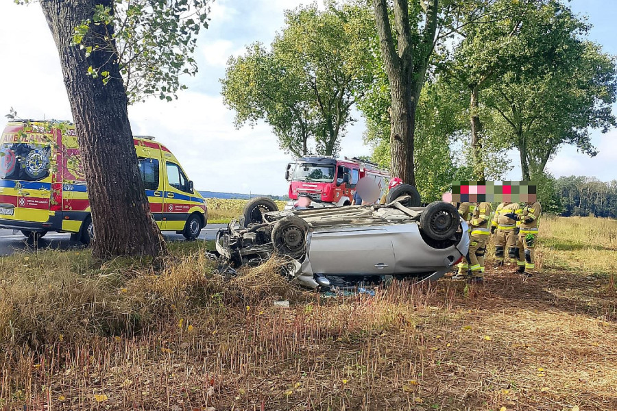dachowanie zabłocie brzeźnik