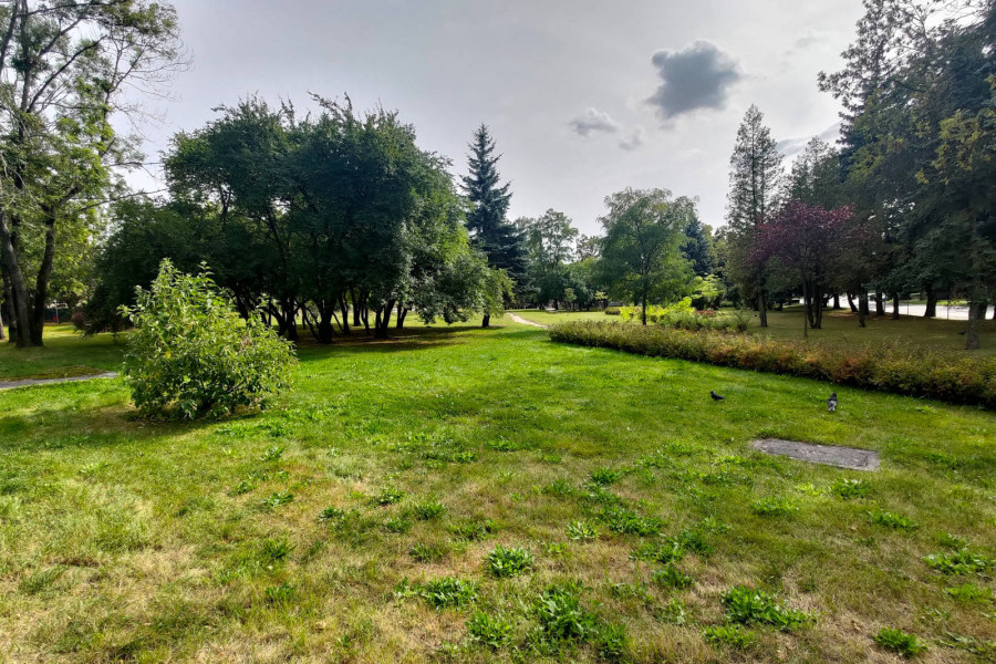 park stadion miejski