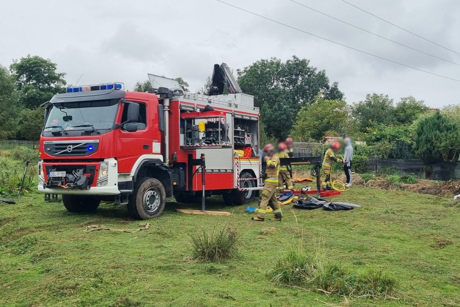straż pożarna czerna koń