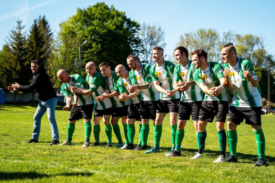 zespół henrykowian