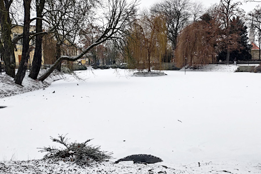 staw miejski zima lód śnieg
