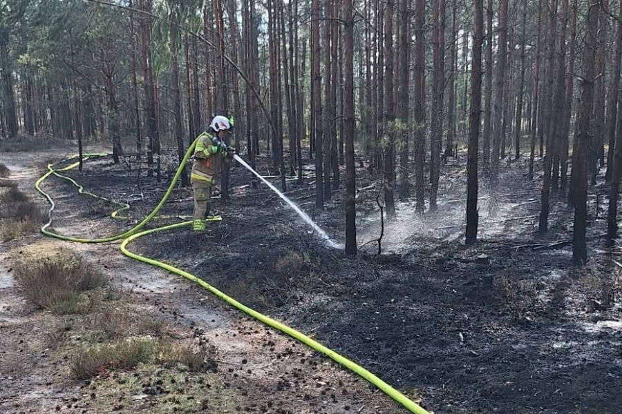 pożar las kozłów