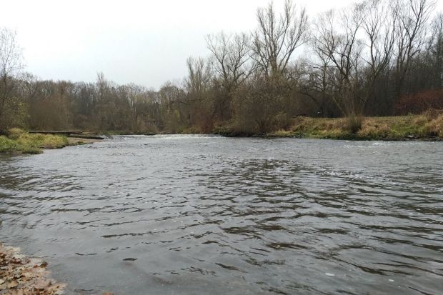 Rzeka Bóbr