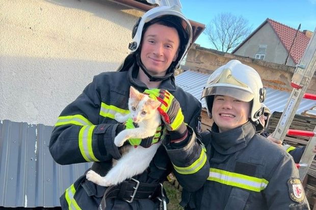Strażacy i kot