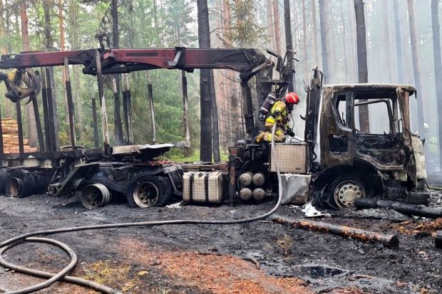 Pożar ciężarówki, drewna i lasu w Parowej