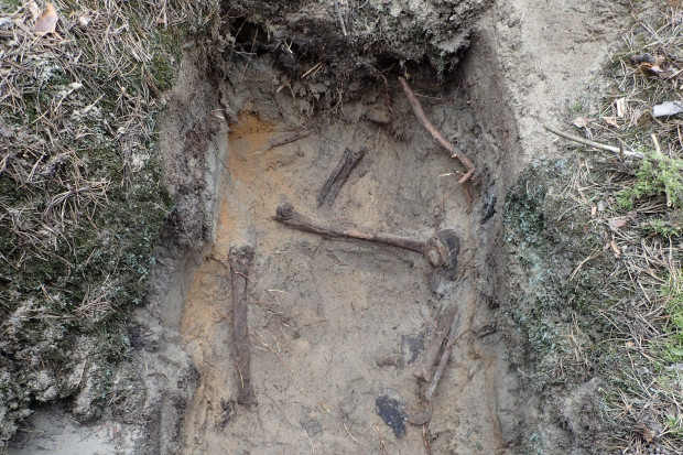 szczątki grób powiat wojna świętoszów