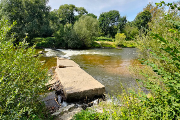 rzeka brzeg bóbr jaz