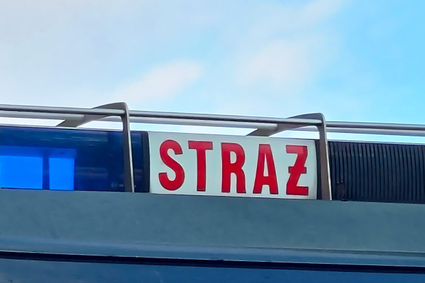 kogut straż pożarna