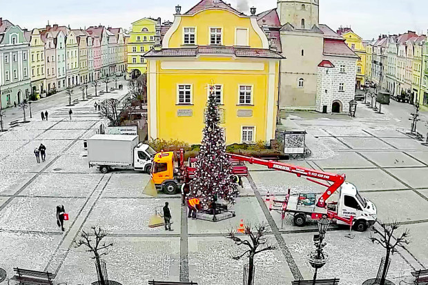 choinka rynek święta