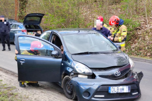 Pies po narkozie miał rozproszyć kierowcę. Groźne zderzenie Toyoty z Hyundaiem