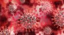 60 nowych przypadków koronawirusa. Są nowi chorzy z naszego powiatu
