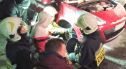 Strażacy z Trzebienia uratowali kotkę, która… utknęła w komorze silnika samochodu