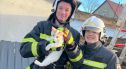 Strażacy z Nowogrodźca uratowali kotka. „Blue Monday mógł dopaść każdego”