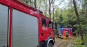 Kolejny pożar lasu, 5 zastępów straży pożarnej w akcji