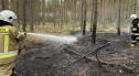 Pożar lasu