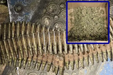 Driver’s nervous behavior caught police officers’ attention. They found marijuana and ammunition on the 52-year-old