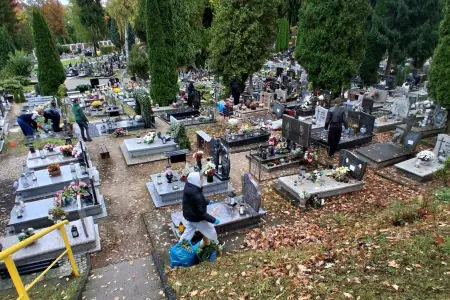 Licealistki z "Broniewskiego" posprzątały zapomniane groby
