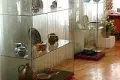 Muzeum Ceramiki prosi o pomoc w organizacji wystawy