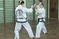 Trenerzy Taekwondo podnieśli kwalifikacje