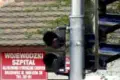Wybudowano sygnalizację przy Alei Tysiąclecia