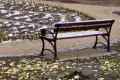 Kolejna część miejskich plant została odnowiona
