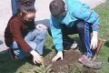 Uczniowie Szkół Specjalnych uczcili Święto Ziemi