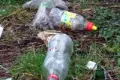 Bolesławianie śmiecą na ulicy Zgorzeleckiej