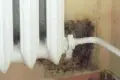 Zalewa mieszkania w bloku przy ulicy Jana Pawła II
