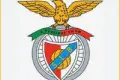 Trenerzy COMT 2012 w SL Benfica