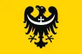 Konsultacje dla organizacji pozarządowych z naszego powiatu