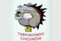 Taekwondo Chojn&oacute;w organizuje turniej dla dzieci