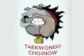 Taekwondo Chojnów organizuje turniej dla dzieci